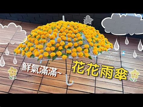 線簾安裝|蜂巢簾安裝．風琴簾安裝．無拉繩窗簾．DIY教。